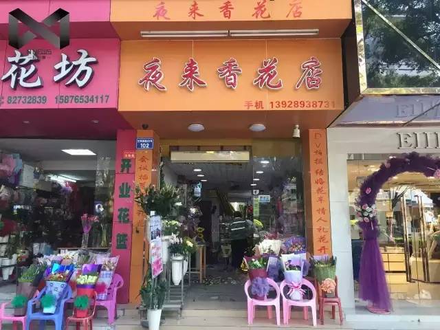 夜来香花店 夜来香花店