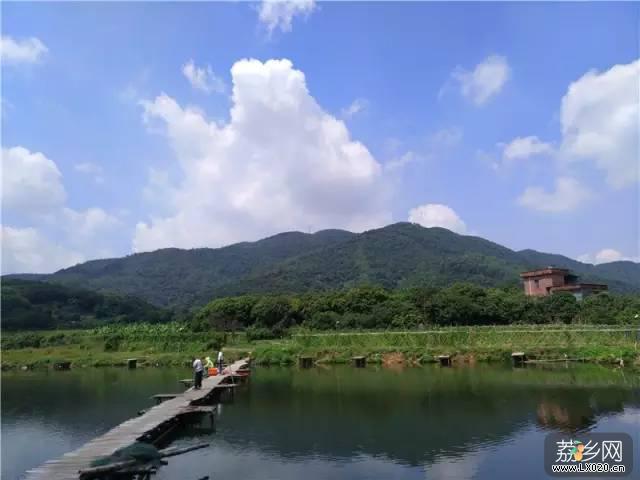 路边村风景 路边村风景