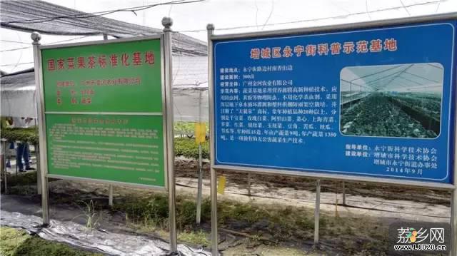 路边村种植基地 路边村种植基地