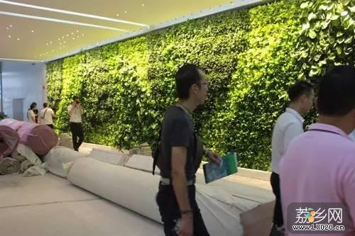 增城低碳总部园展厅一面鲜活绿色植物墙 增城低碳总部园展厅一面鲜活绿色植物墙